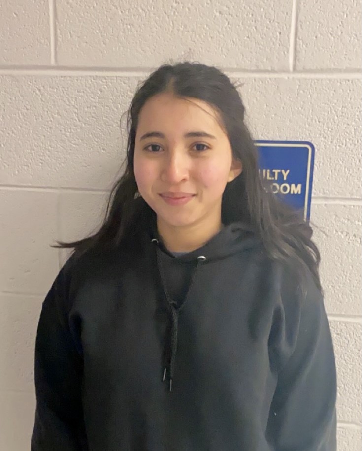 Julia alvarez velasquez porter traditional school